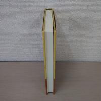 島を見直す