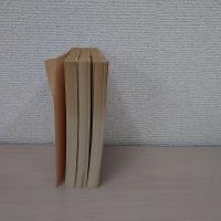 常山紀談 上中下巻揃い ＜岩波文庫＞