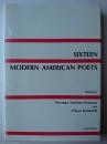 現代アメリカ史 : Sixteen Modern American Poets