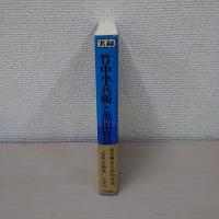 実録 竹中半兵衛と黒田官兵衛