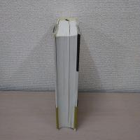 理由と人格 : 非人格性の倫理へ