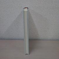 情報化社会の未来と著作権の役割 ＜IIP研究論集＞