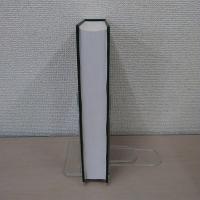 Employee Benefits in Europe and USA : 5th Edition