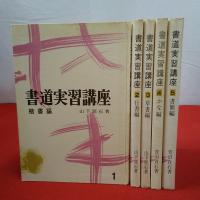 書道実習講座 全7巻中第1～5巻セット