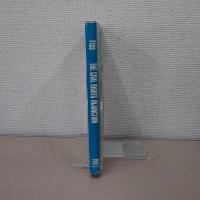 The Civil Rights Injunction