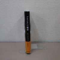 ブラジルへの郷愁