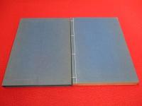 徃生要歌集　醫世物語