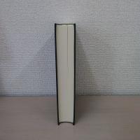 麻生町史 : 民俗編