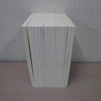 遊民　創刊号から終刊号まで全16冊揃い