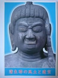 蒲生郡の風土と遺宝