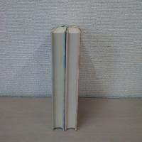 図説・西洋哲学思想史　: 西洋の知恵　上下巻