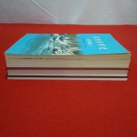 【新潟県】糸魚川市史 昭和編 1～3+資料編 全4巻揃い