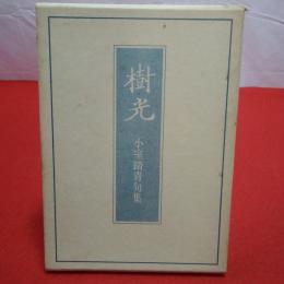 樹光 小室踏青句集