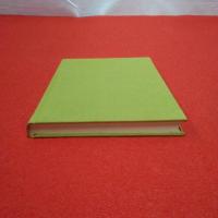 樹光 小室踏青句集