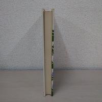 S/Z : バルザック『サラジーヌ』の構造分析