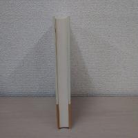 スバシ写本の研究 : 亀?国致隷藍の『ウダーナ・ヴァルガ』