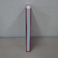 【洋書】Universities and the Public Sphere：Knowledge Creation and State Building in the Era of Globalization