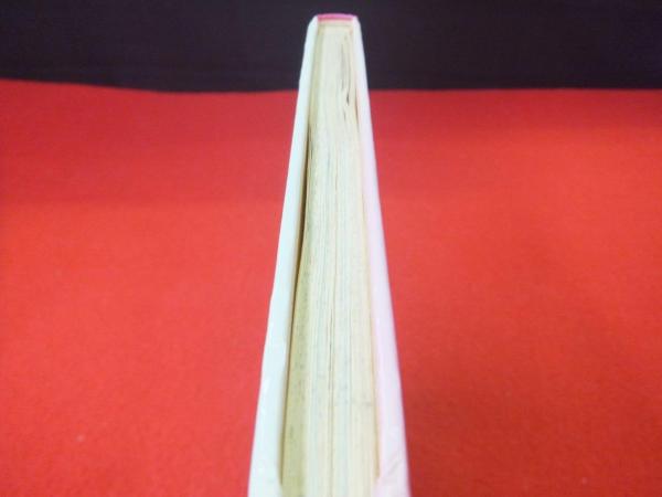 びっくり！ドッキリ！宝さがし にゃんたんのゲームブック 岡田日出子