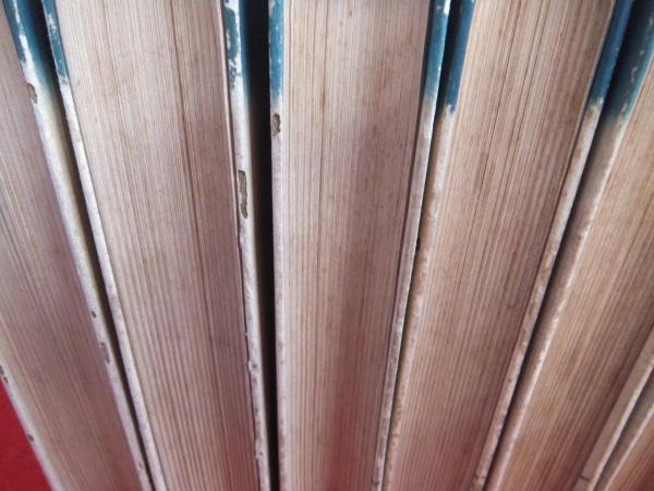 普及版 太閤記 全12冊(矢田插雲 著) / 古本、中古本、古書籍の通販は