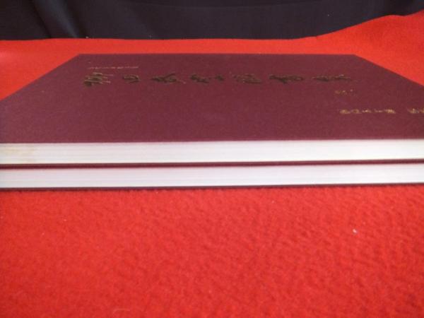 現代名家臨書範 柳田泰雲臨書集 臨書集 1、2巻セット(柳田 泰雲【著