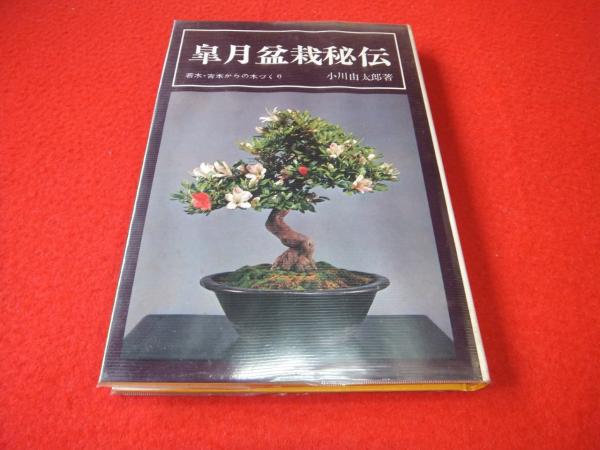 皐月盆栽秘伝 : 若木・古木からの木づくり(小川由太郎 著) / 古本 ...