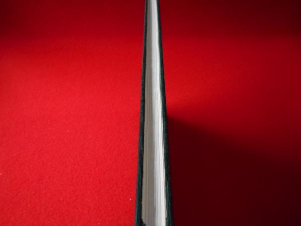 雄々しきかな富士山頂 芹沢早苗写真集 芹沢早苗 古本 中古本 古書籍の通販は 日本の古本屋 日本の古本屋