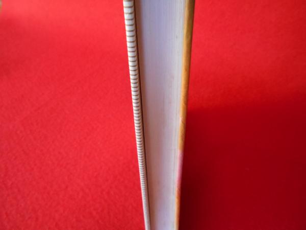 野口英世 カラー版 子どもの伝記 1 大石真 はなひ堂 古本 中古本 古書籍の通販は 日本の古本屋 日本の古本屋