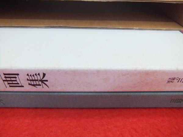 菅野圭介画集 天衣無縫の天才画家鎮魂の譜 / 古本、中古本、古書籍の