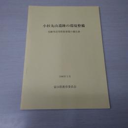 小杉丸山遺跡の環境整備：史跡等活用特別事業の報告書