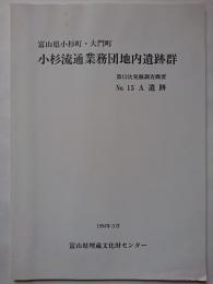 富山県小杉町・大門町　小杉流通業務団地内遺跡群　第12次発掘調査概要　No.15 A 遺跡　1994年3月