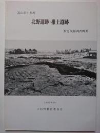 富山県小杉町　北野遺跡・椎土遺跡緊急発掘調査概要　1987年3月