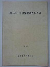 剣大谷1号墳発掘調査報告書　1993年