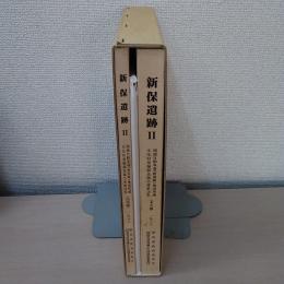 新保遺跡2　弥生・古墳時代集落編：関越自動車道(新潟線)地域埋蔵文化財発掘調査報告書　第18集 本文編・図版編