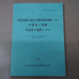中道東遺跡・中道西2遺跡・蛭堀東遺跡 (第2次調査)　／中道東2遺跡　／中道東2遺跡 (第2次調査)　: 町道2538線拡幅・与六分前橋線新設工事に伴う埋蔵文化財発掘調査報告書　〈玉村町埋蔵文化財発掘調査報告書第81集〉　【群馬県】