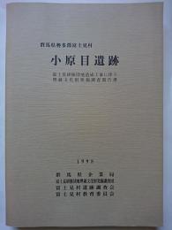 群馬県勢多郡富士見村　小原目遺跡　: 富士見研修団地造成工事に伴う埋蔵文化財発掘調査報告書　1998年