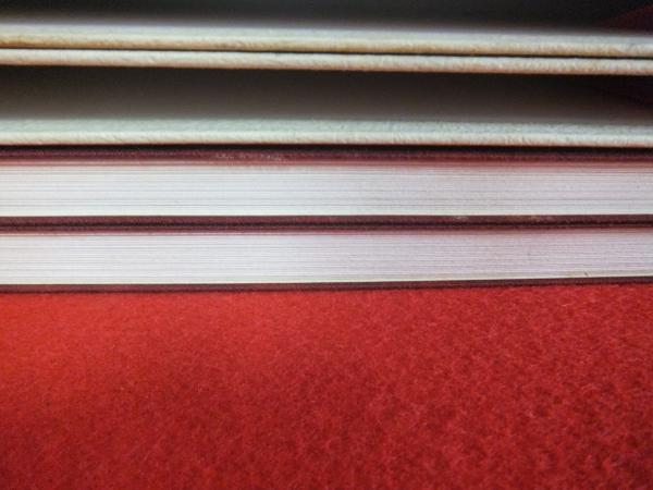 現代名家臨書範 柳田泰雲臨書集 1,2巻 全2冊揃い(柳田 泰雲【著