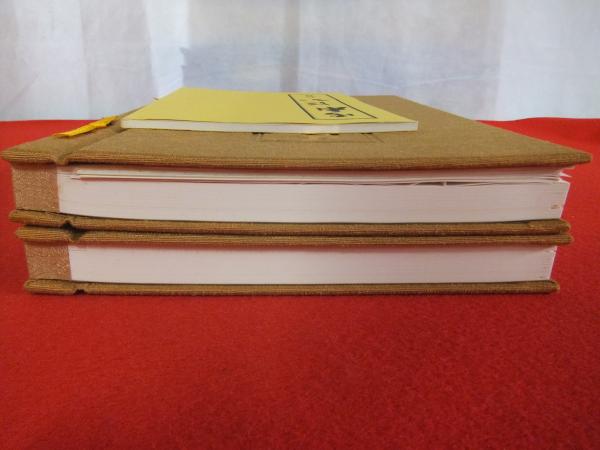雪村従心(宇野雪村) / 古本、中古本、古書籍の通販は「日本の古本屋