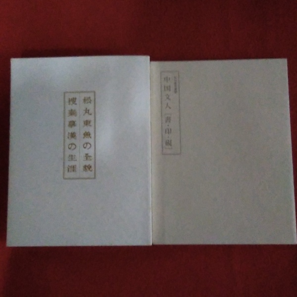 松丸東魚の全貌　捜秦摹漢の生涯　別冊付（松丸東魚遺愛［書・印・硯］） 松丸東魚の全貌 捜秦摹漢の生涯 別冊付（松丸東魚遺愛 中国文人