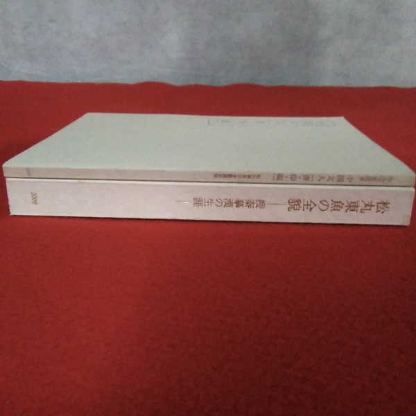 松丸東魚の全貌　捜秦摹漢の生涯　別冊付（松丸東魚遺愛［書・印・硯］） 松丸東魚の全貌 捜秦摹漢の生涯 別冊付（松丸東魚遺愛 中国文人
