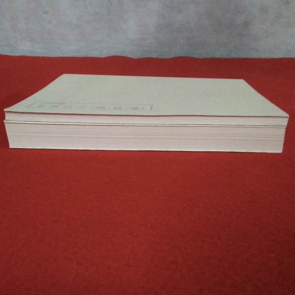 松丸東魚の全貌　捜秦摹漢の生涯　別冊付（松丸東魚遺愛［書・印・硯］） 松丸東魚の全貌 捜秦摹漢の生涯 別冊付（松丸東魚遺愛 中国文人
