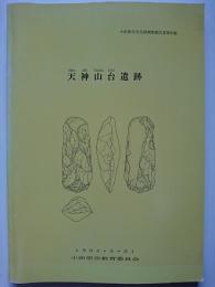 小田原市文化財調査報告書第50集　天神山台遺跡　1994年3月31日