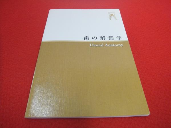 歯の解剖学 中村雅典; 近藤信太郎 シエン社 | 歯の解剖学<第3版>