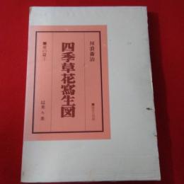 四季草花写生図 夏の篇１