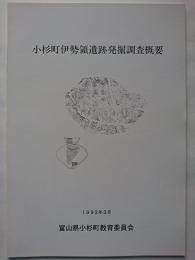 小杉町伊勢領遺跡発掘調査概要　1992年3月　【富山県】