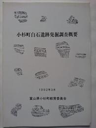 小杉町白石遺跡発掘調査概要　1992年3月　【富山県】