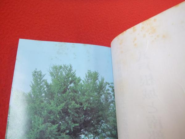 八戸根城と南部家文書(小井田幸哉 著 ; 根城史跡保存会記念誌