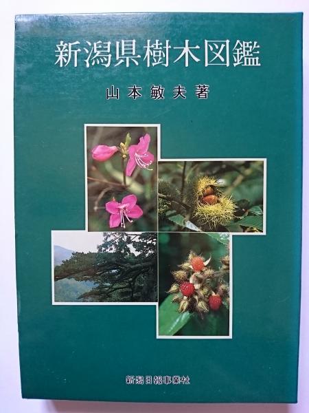 新潟県樹木図鑑 山本敏夫 はなひ堂 古本 中古本 古書籍の通販は 日本の古本屋 日本の古本屋 新潟県樹木図鑑 山本敏夫 はなひ堂 古本 中古本 古書籍の通販は 日本の古本屋 日本の古本屋