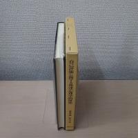 自己評価に関する発達心理学的研究 : 児童期から青年期までの検討