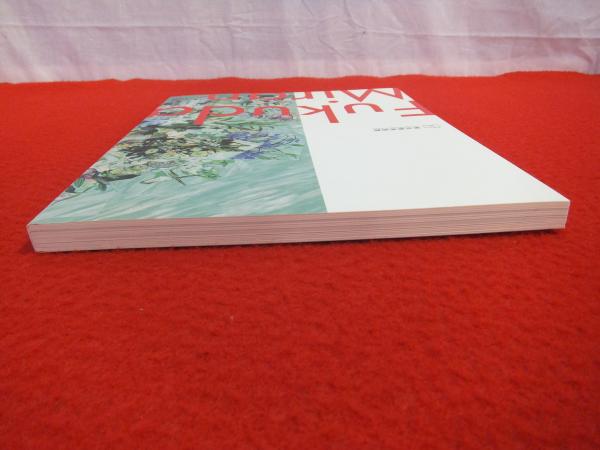 福田美蘭展 Fukuda Miran 【図録】(福田美蘭 [作] ; 東京都美術館 編