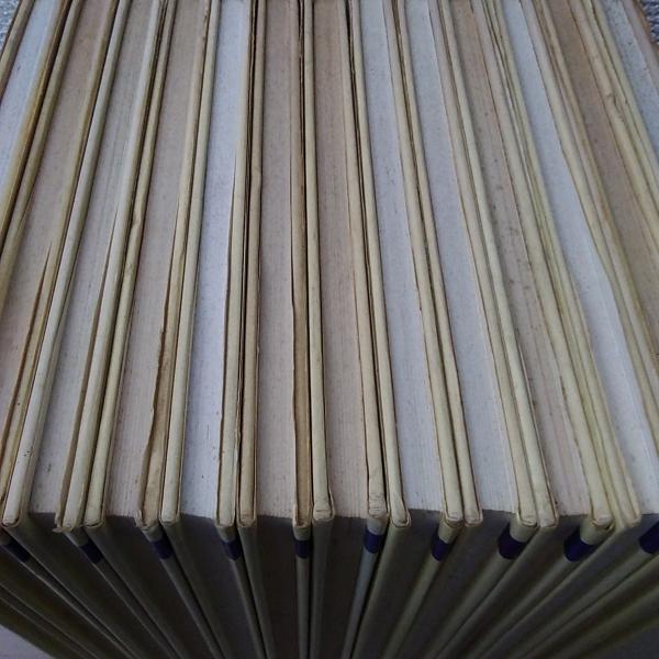 戸川幸夫・動物ものがたり 全15巻のうち13冊セット（5巻・13巻欠